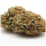 Шишки AK47 (Гидропоника, Бошка) VHQ в Калининграде Шишки AK47 (Гидропоника, Бошка) VHQ в Калининграде